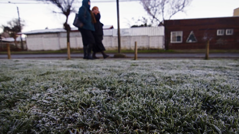 Escarcha por frío congela a perro a mitad de banqueta