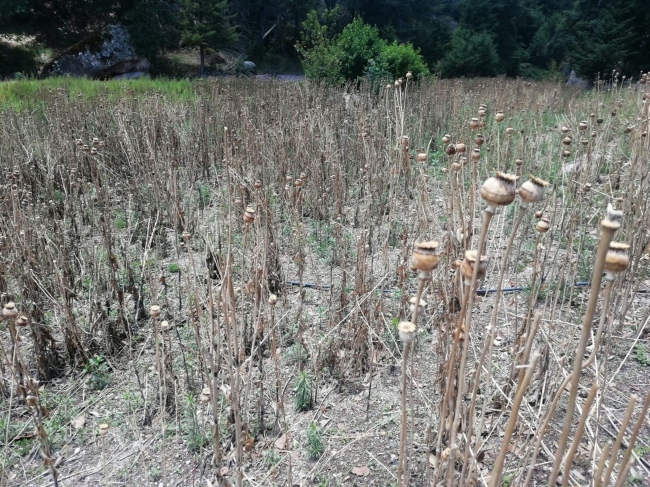 Rescatan a 21 secuestrados por narcos en Chihuahua - personas-rescatadas-cueva-chihuahua2