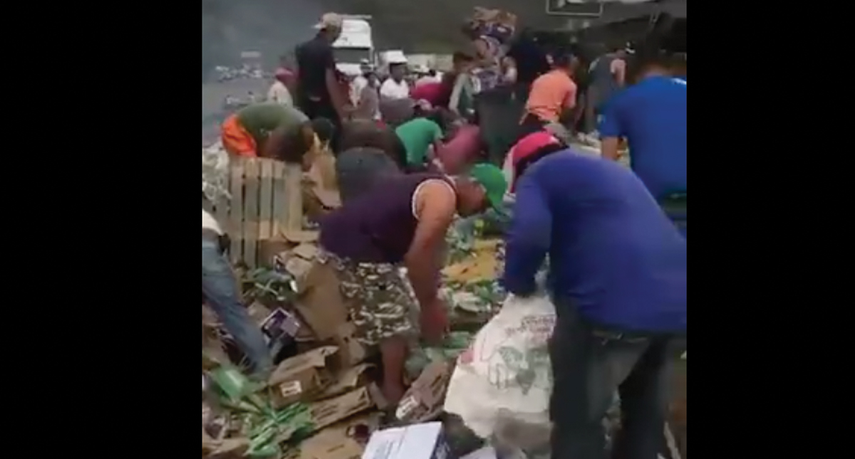 #Video Rapiña tras choque de dos camiones en carretera Tepic-Guadalajara