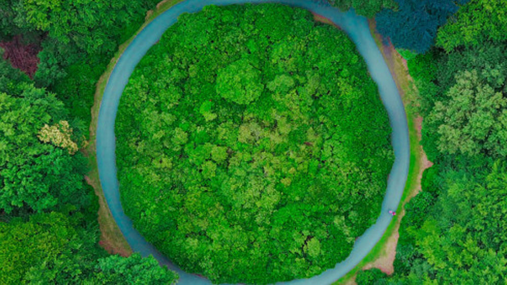 Agotados recursos del planeta para este año: ONG