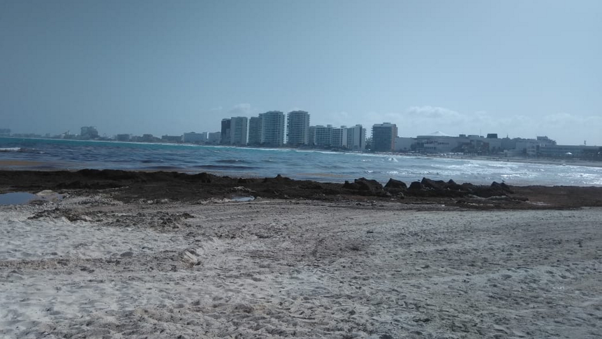 Aumentará llegada de sargazo a Cancún