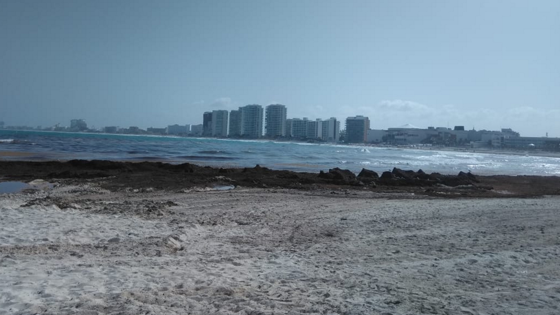 PAN exige al gobierno atender con seriedad el problema del sargazo