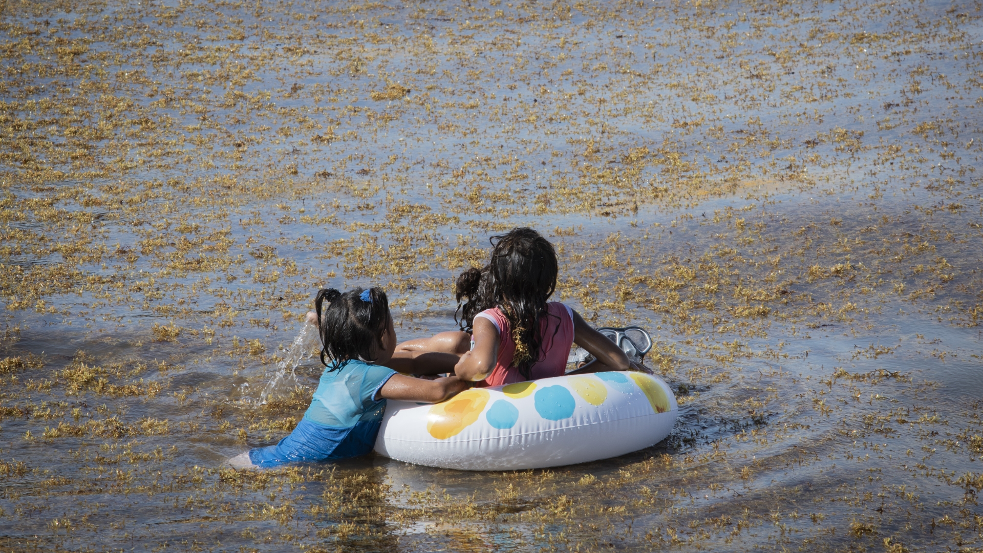 Destinos de Quintana Roo siguen con sargazo excesivo