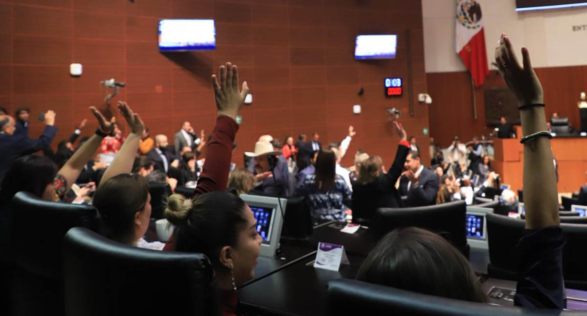 Senado de la República reforzará su seguridad con empresas privadas