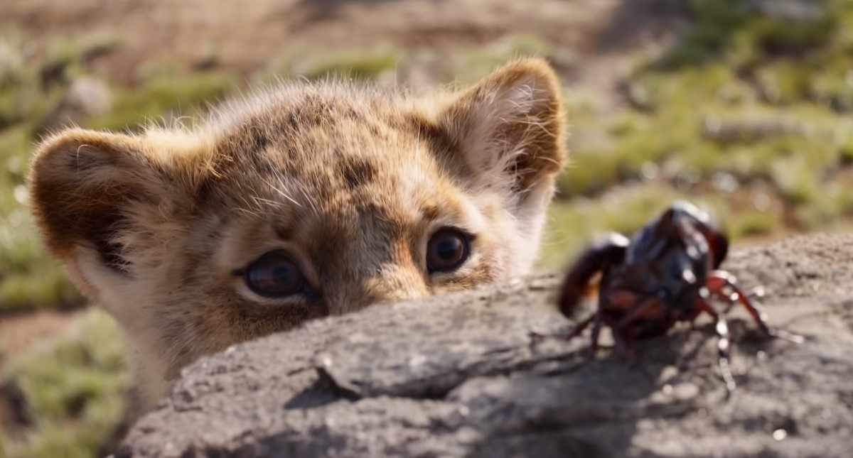Revelan la única escena real de El Rey León