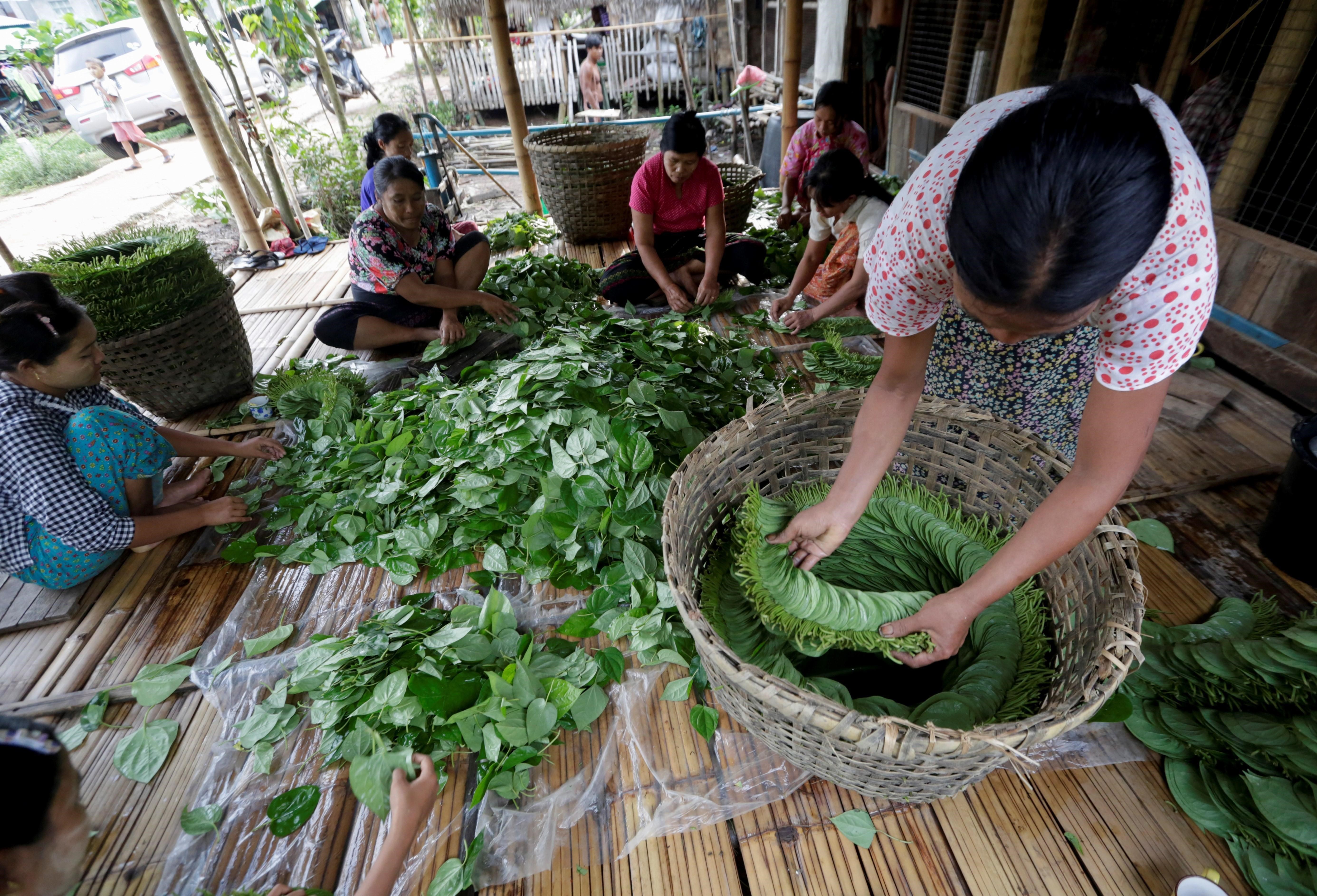 “Kun ya”, el ‘chicle’ cancerígeno que no pasa de moda en Birmania