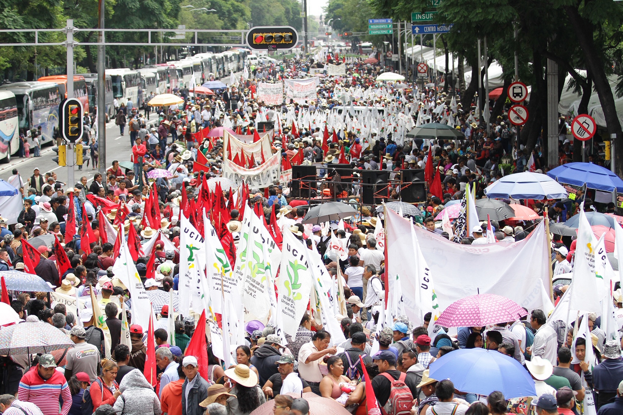 Marcha Nacional Campesina pide recursos para garantizar buenas cosechas - 90808044
