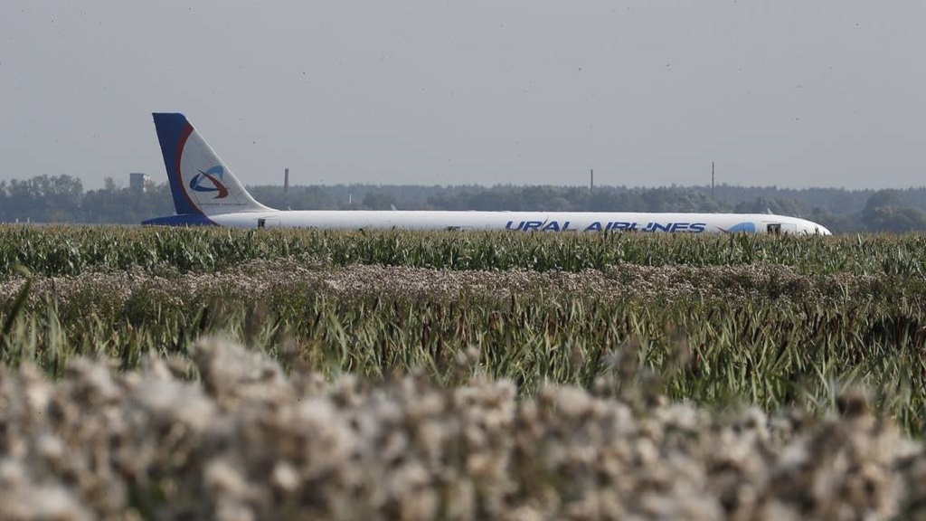Airbus A321 aterriza de emergencia tras chocar con pájaros en Rusia