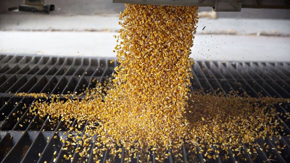 Inseguridad rebasa a productores de comida para animales