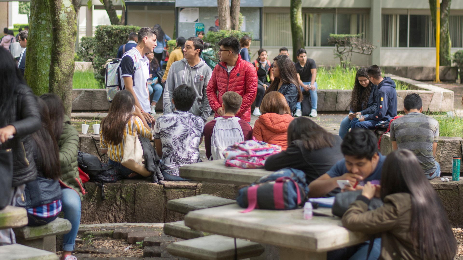 Asaltan a alumnos de FES Acatlán en ‘sendero seguro’ Asaltan a alumnos de FES Acatlán en ‘sendero seguro’