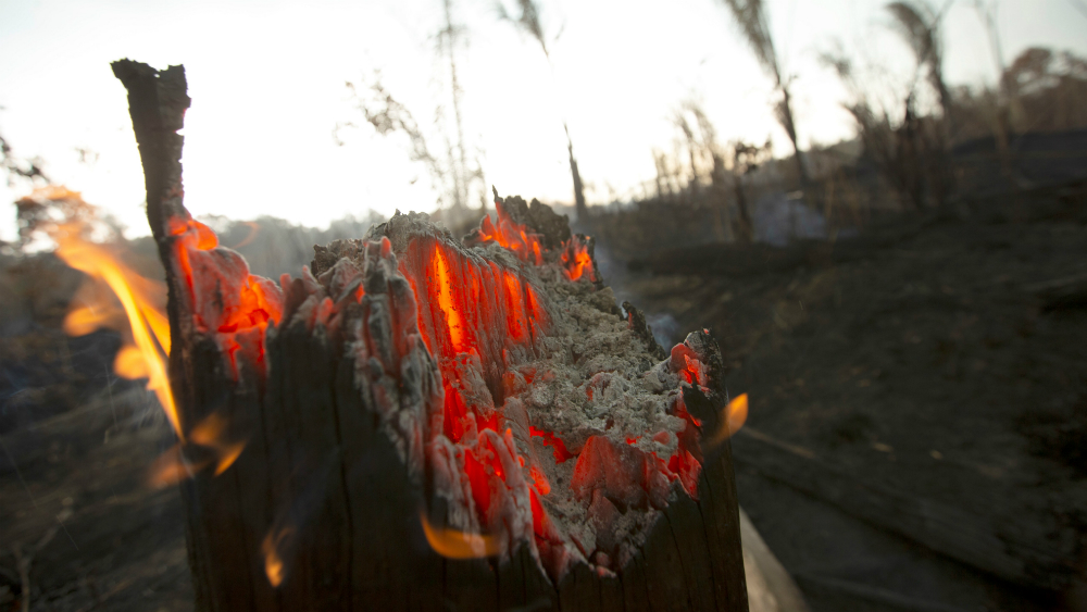 Canadá enviará avión cisterna para combatir incendio en Amazonia Canadá enviará avión cisterna para combatir incendio en Amazonia