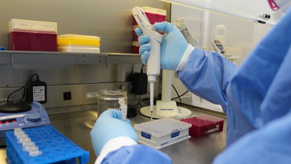 Van nueve casos de sarampión en México Van nueve casos de sarampión en México