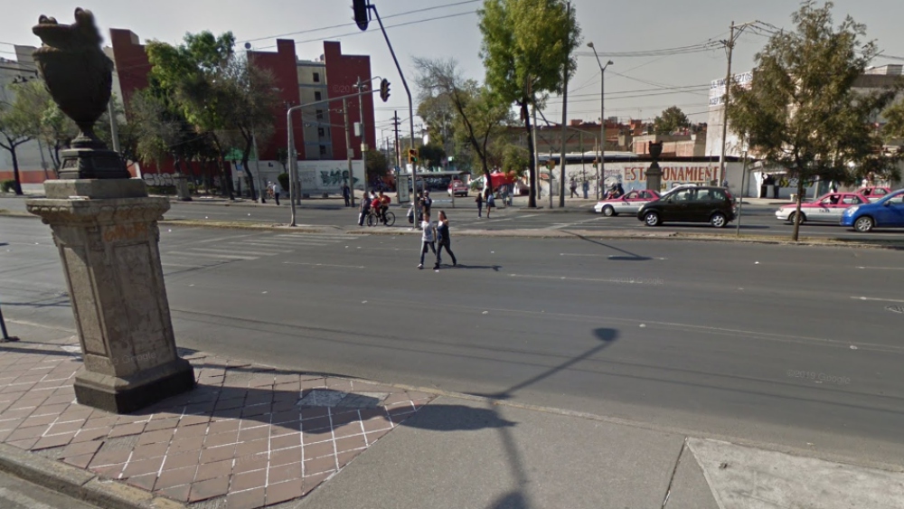 Retiran árbol caído en Paseo de la Reforma