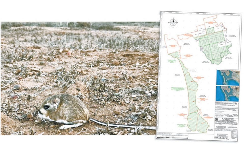 Sedatu subastó dos áreas naturales protegidas en 127 mil pesos