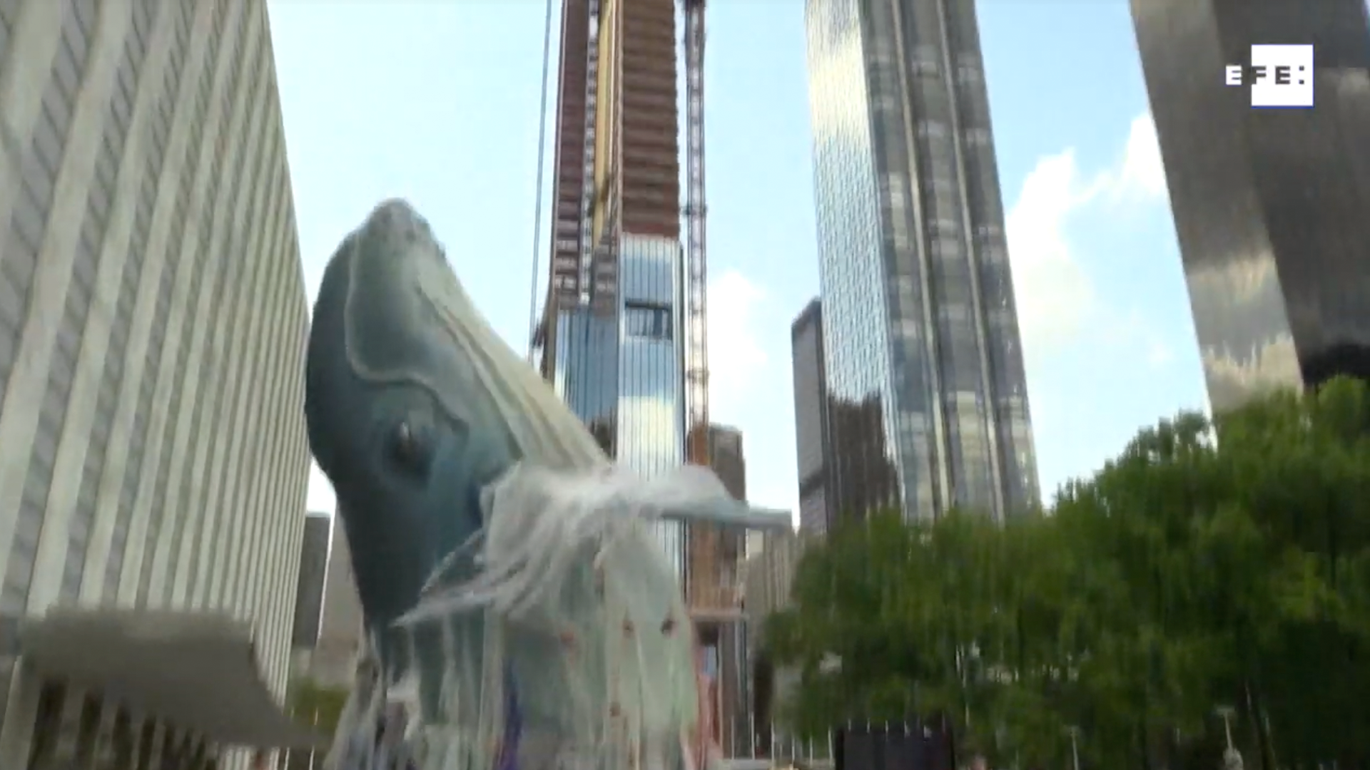 Una imponente ballena emerge en el patio de la ONU para defender los océanos
