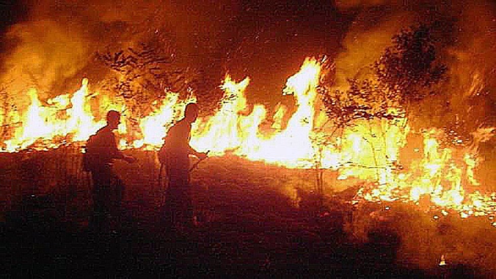 Despega primer avión financiado por G7 contra incendios en la Amazonia - bomberos-combatiendo-incendio-de-la-amazonia-en-rio-branco