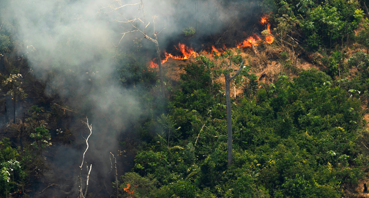 Fuerzas Armadas de Brasil combaten incendios en el Amazonas
