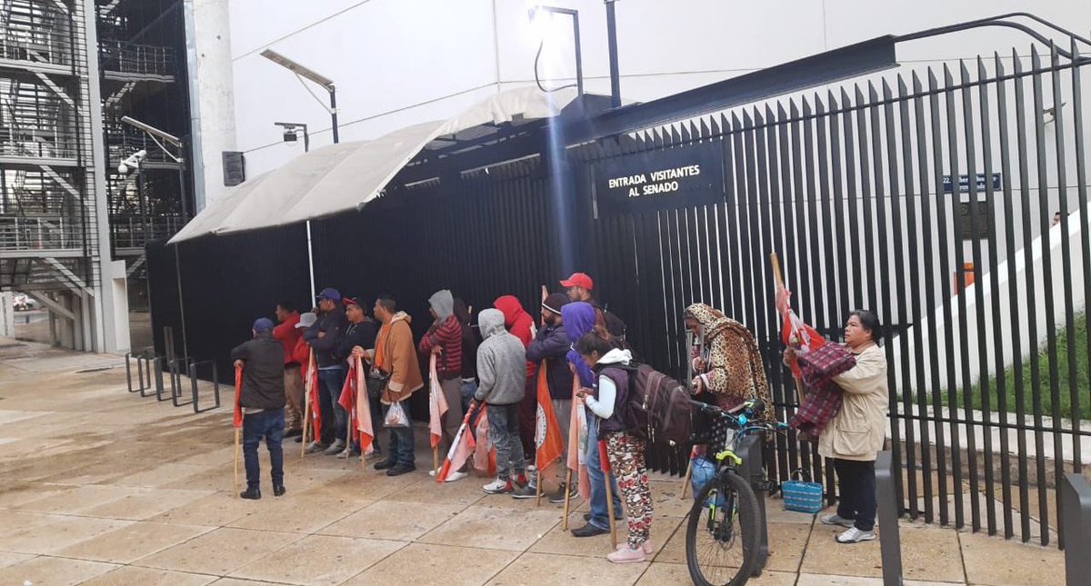 #Video Cae árbol durante bloqueo de campesinos en el Senado