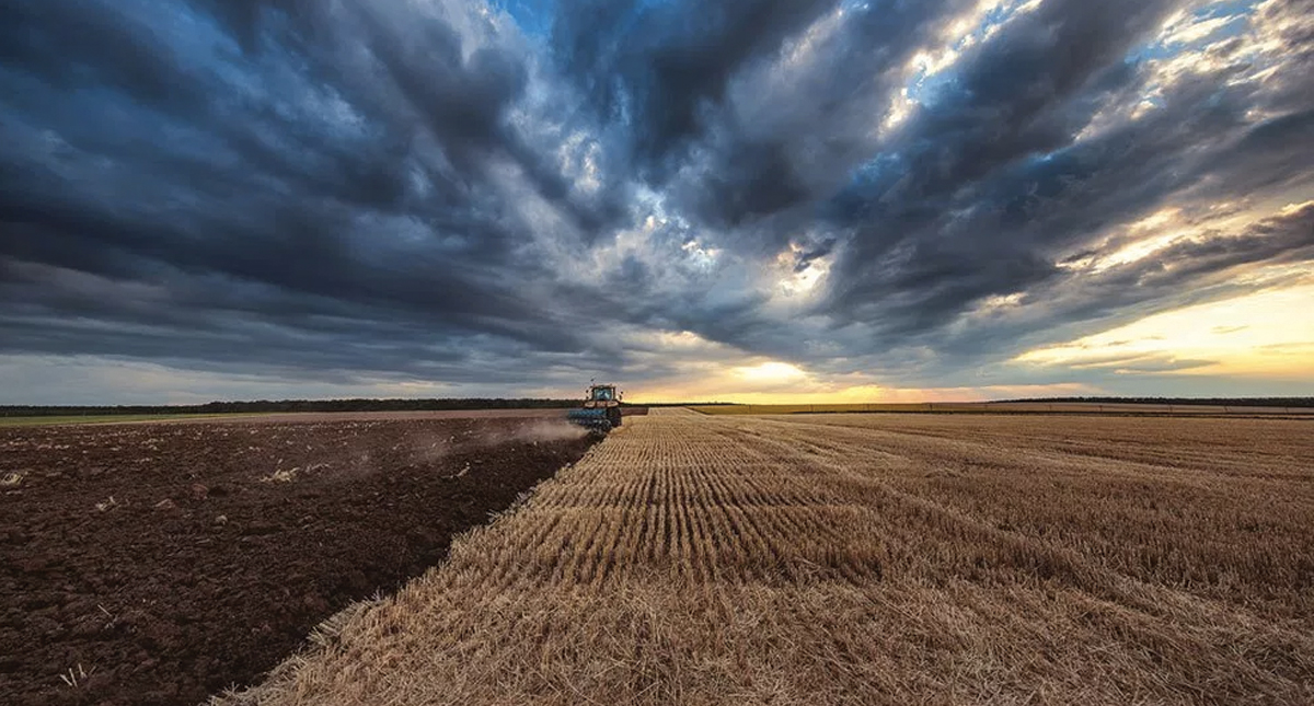 Ganadería sustentable busca evitar degradación de suelos en México