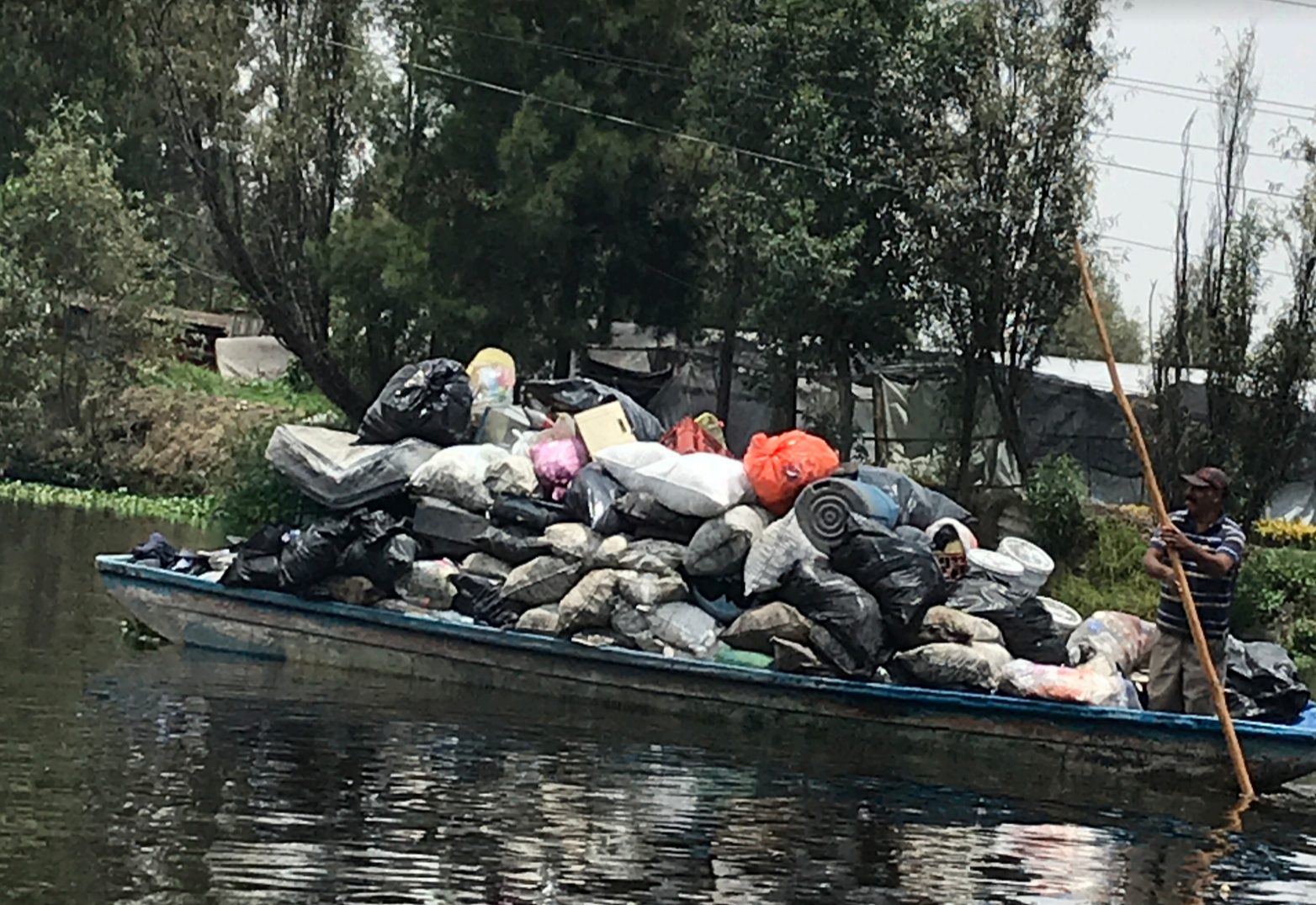 Xólotl - captura-de-pantalla-2019-08-18-a-las-113405
