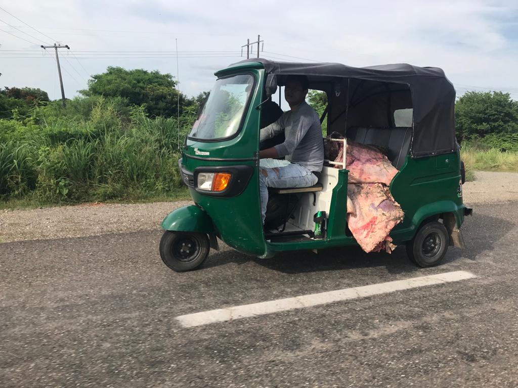 Pobladores rapiñan tráiler cargado de carne en el Istmo - carne-camion-rapina-istmo-oaxaca-2