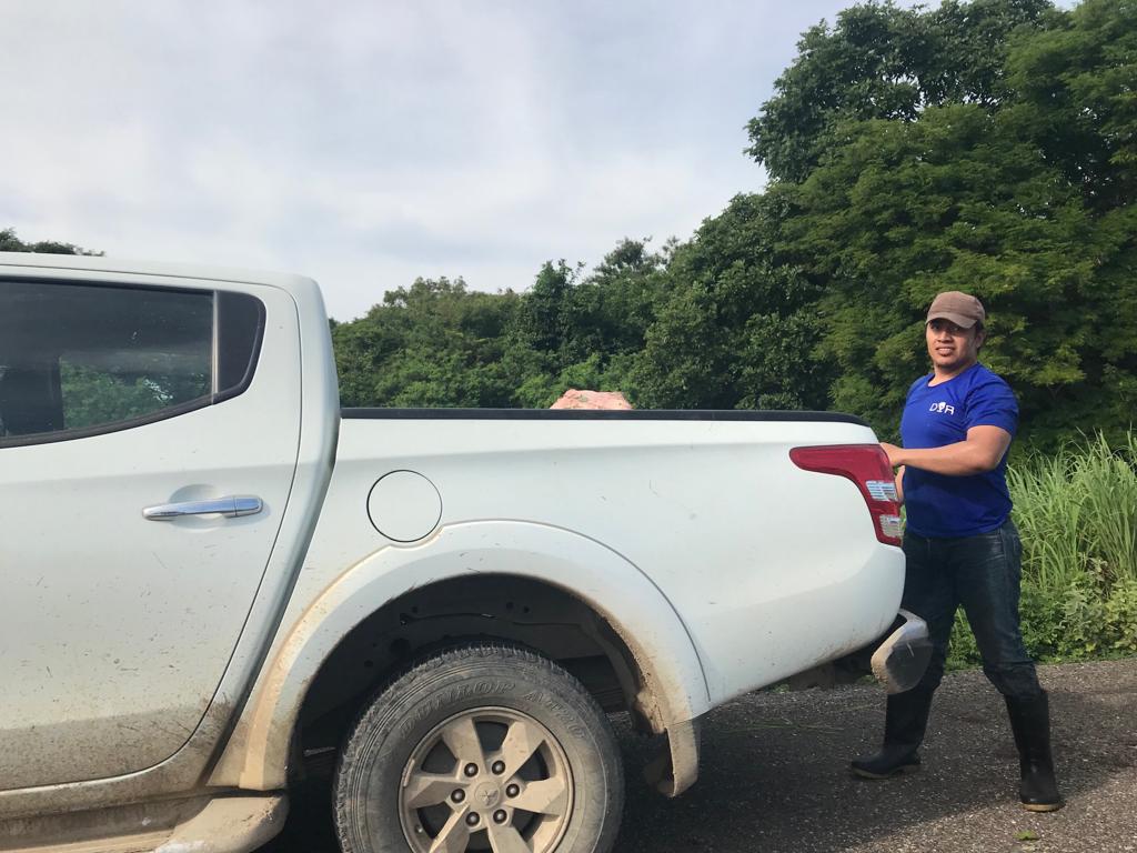 Pobladores rapiñan tráiler cargado de carne en el Istmo - carne-camion-rapina-istmo-oaxaca-4