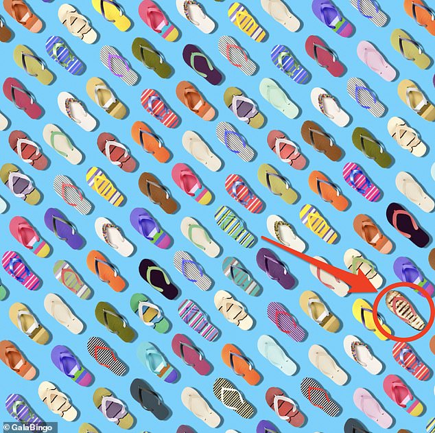 #RetoViral ¿Puede encontrar la berenjena entre las sandalias? - chanclas-dos