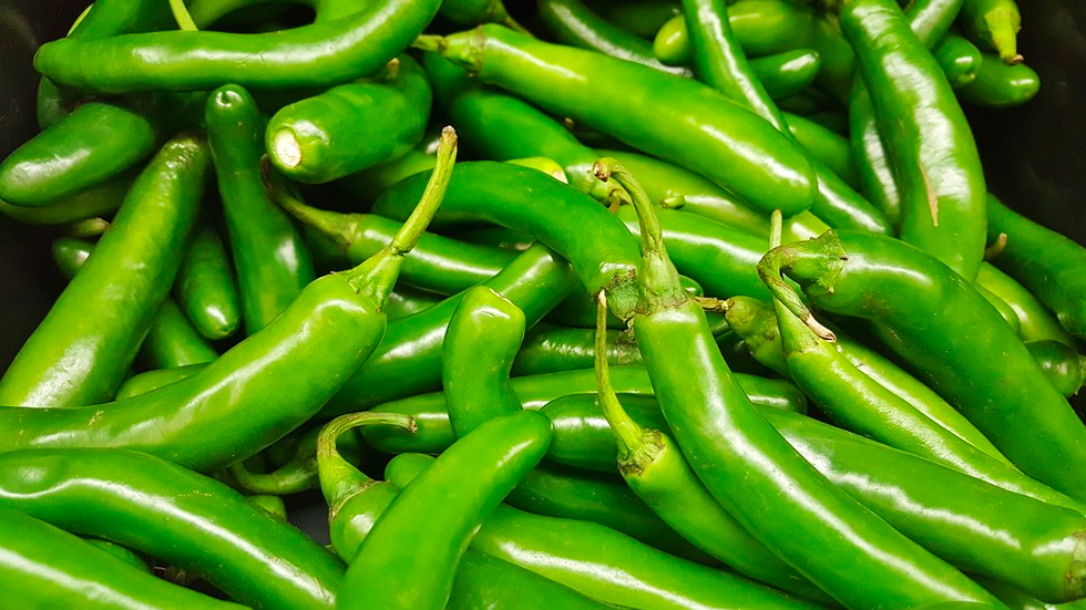 El 60 por ciento de los chiles que se consumen en México provienen de China