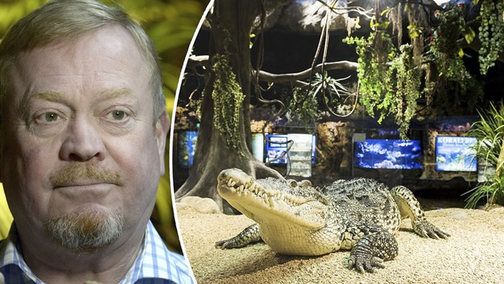 Cocodrilo que perteneció a Fidel Castro muerde a hombre en Suecia