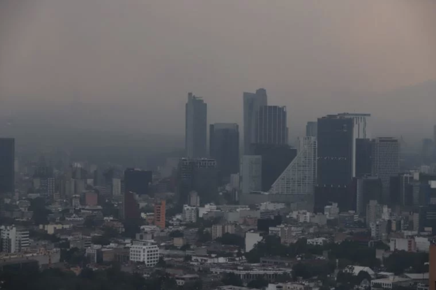 ¿Sabes quién es Greta Thunberg? ¿Estás dispuesto a comer menos carne? - contingencia-ambiental-extraordinaria-ciudad-de-mexico-contaminacion-mayo-2019