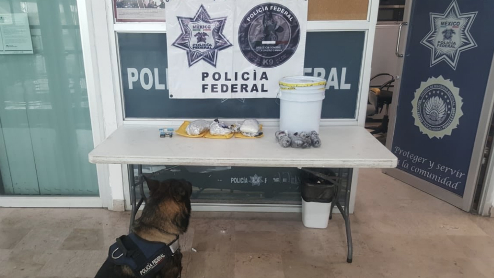 Decomisan tres kilos de aparente crystal ocultos en bote de jalapeños