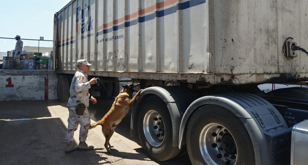Decomisan droga con valor de más de 17 mdp en Baja california - decomiso-de-drogas-bc