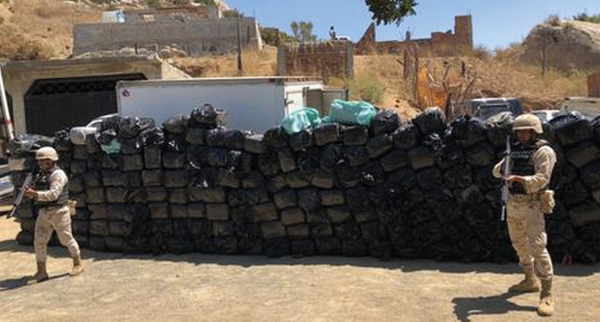 Decomisan casi dos toneladas de mariguana en Tijuana
