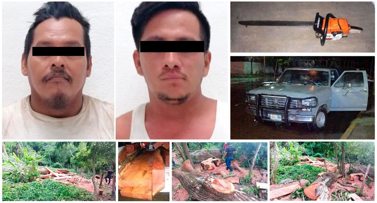 Ecocidas deberán plantar 3 mil árboles y limpiar río en Chiapas - detenidos-por-ecocidio-en-el-estado-de-chiapas