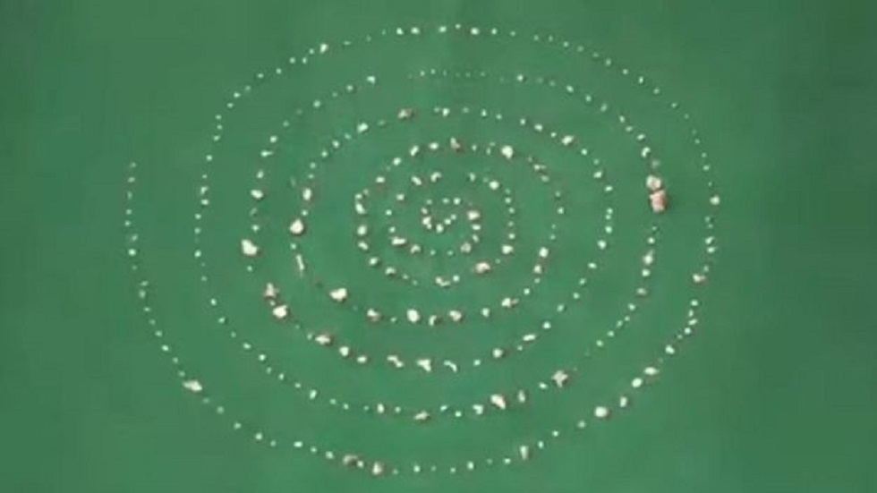 Extraen 526 dientes a niño de siete años en India - dientes-extraidos-a-nino-en-india