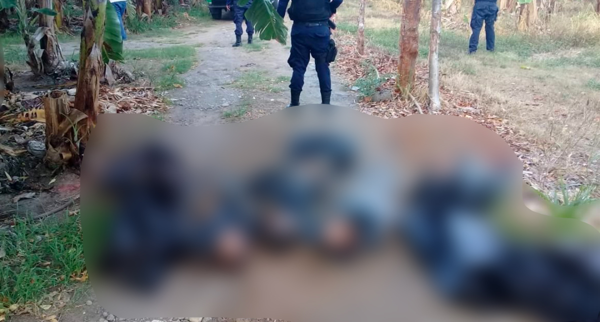 Encuentran cinco cuerpos embolsados en Veracruz