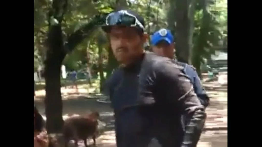#Video Entrenador ahorca a perro en el Parque México