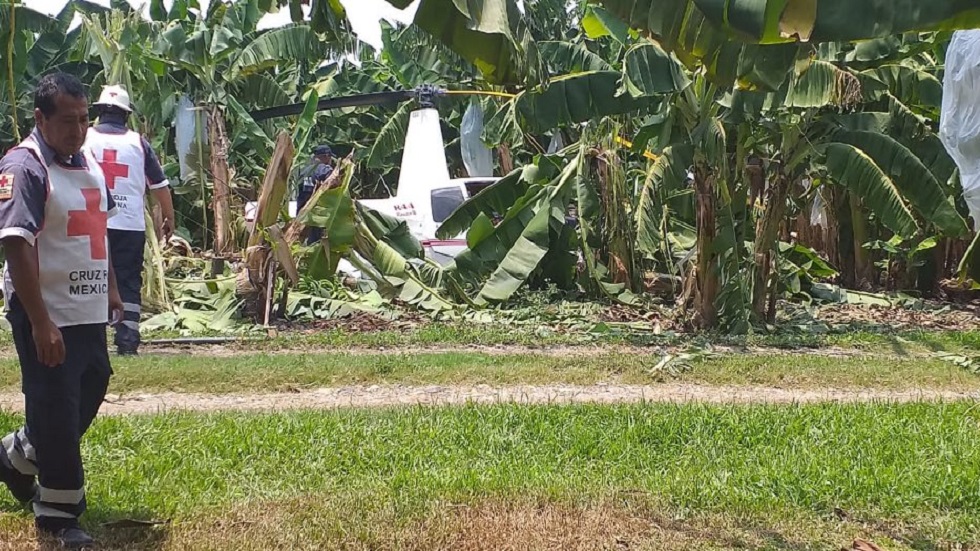 Helicóptero cae en finca de Tuxtepec, Oaxaca - helicoptero-caido-en-cultivo-de-platano