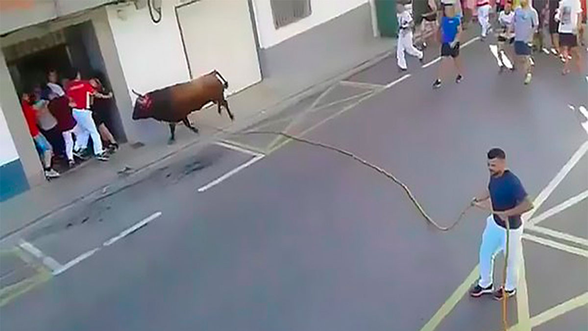 #Video Toro mata a hombre durante corrida en España