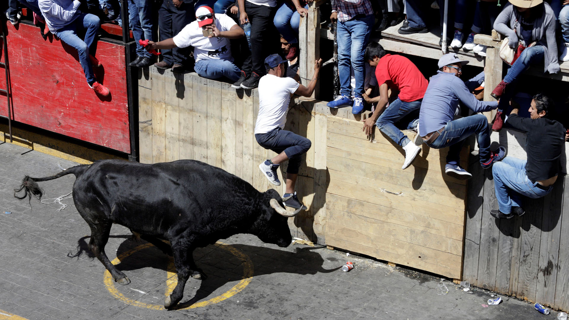 Tauromaquia Mexicana pide ‘modernizar pero no prohibir’ corridas