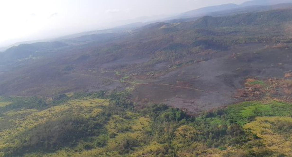 Brasil extingue incendio en parque nacional en zona del Amazonas Brasil extingue incendio en parque nacional en zona del Amazonas