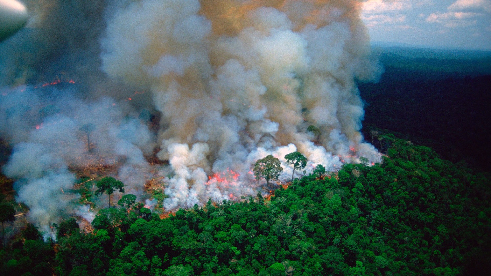 G-7 acuerda liberación de 20 mdd para combatir incendios en la Amazonia G-7 acuerda liberación de 20 mdd para combatir incendios en la Amazonia