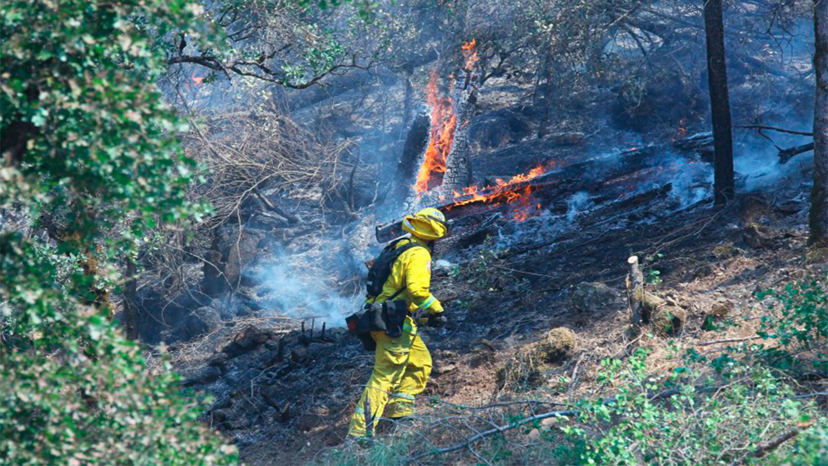 Evacuan a más de 4 mil personas en California por incendio forestal