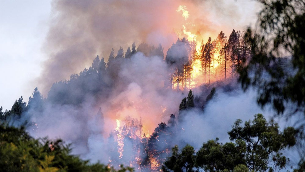 Incendio deja 9 mil personas evacuadas en Gran Canaria