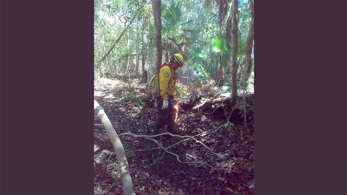 Controlan al 70 por ciento incendio en Sian Ka’an