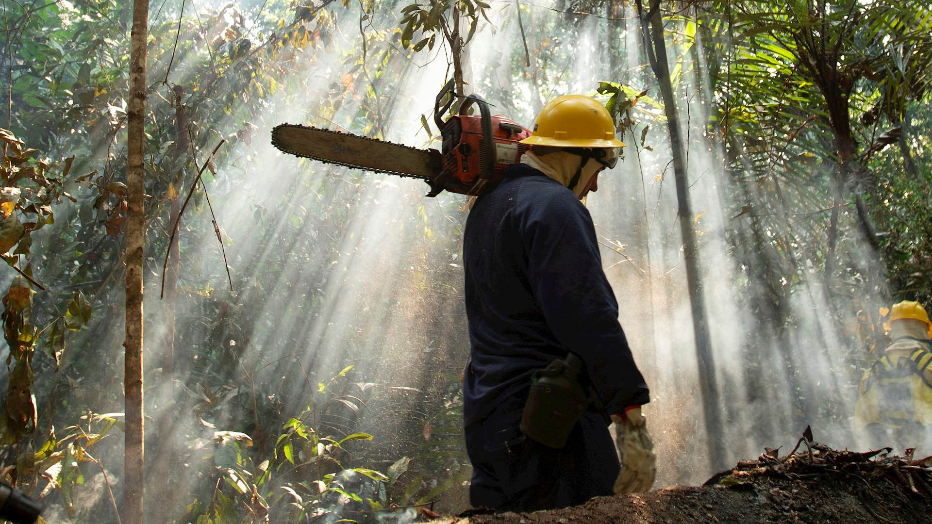 Brasil asegura que hay una reducción de brotes de incendio en Amazonia Brasil asegura que hay una reducción de brotes de incendio en Amazonia