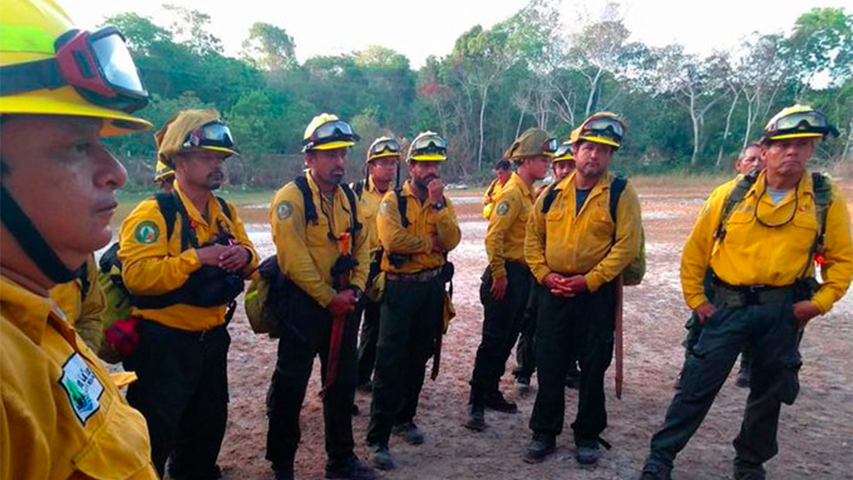 Controlan en 95 por ciento incendio forestal en Sian Ka’an