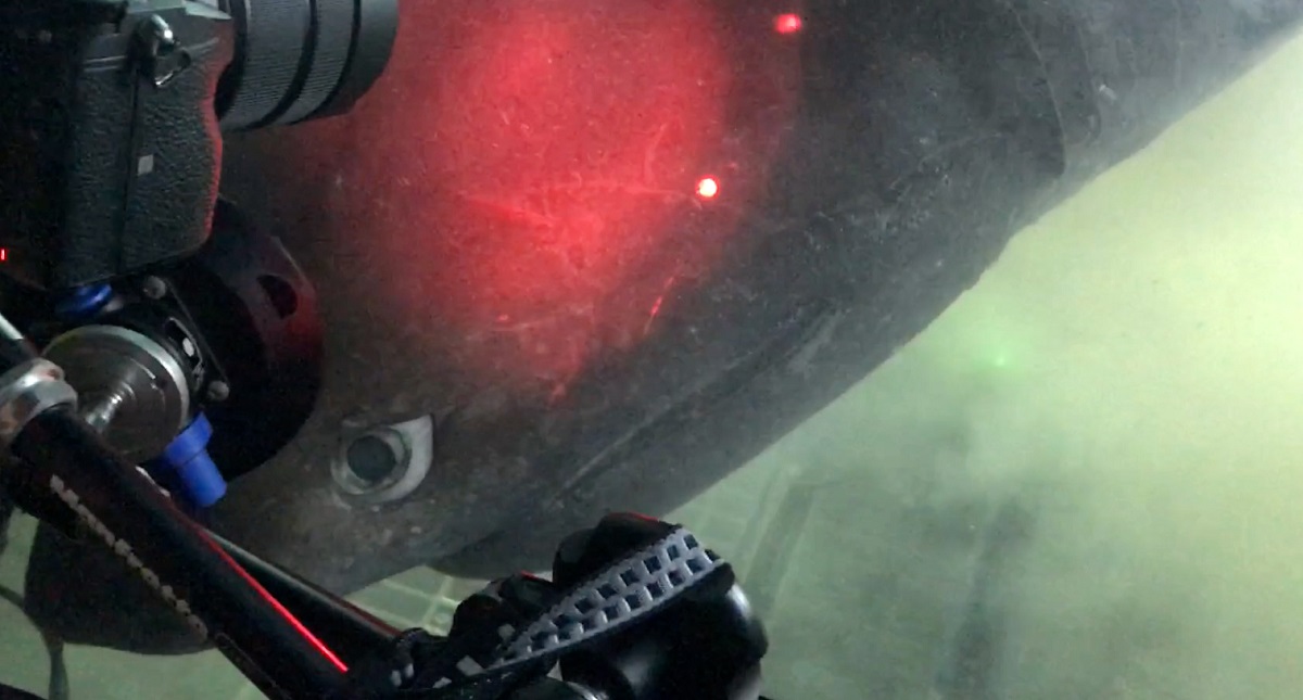 #Video Nuevas imágenes del tiburón milenario captado en las Bahamas