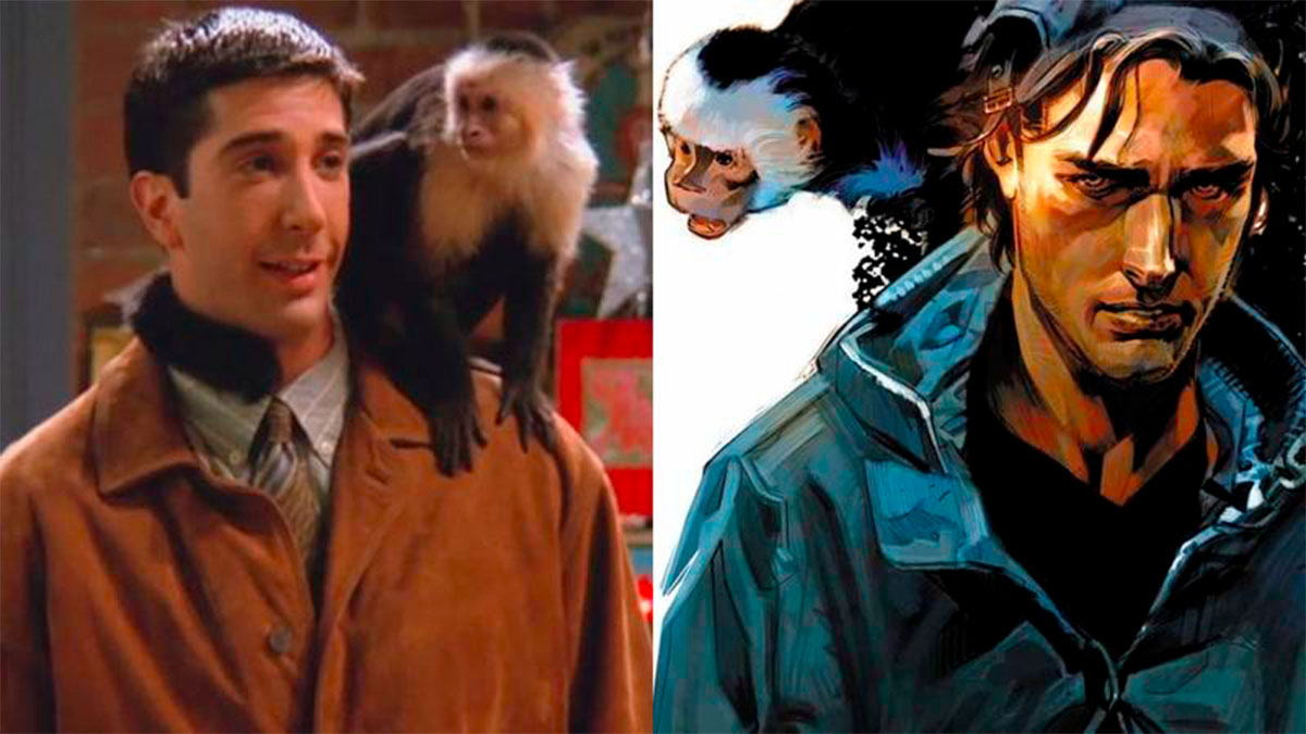 Regresa a la televisión Marcel, el mono de “Friends”