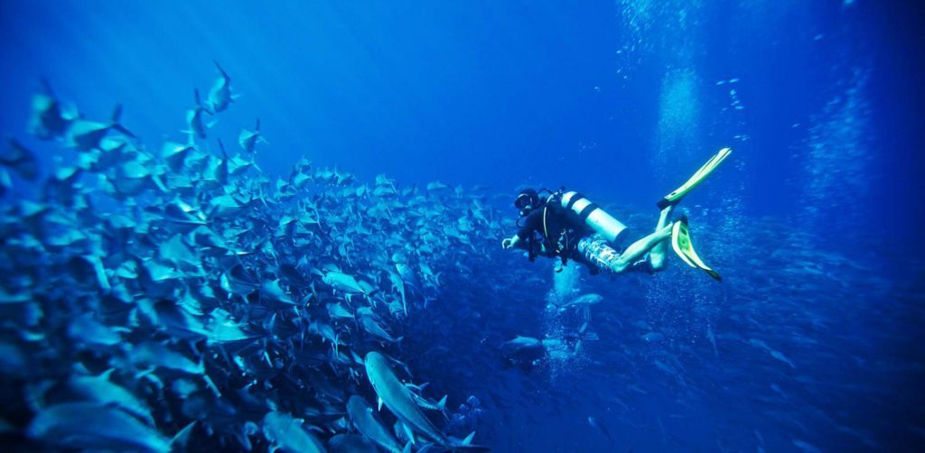 Los mejores lugares para bucear en México - mardecortes